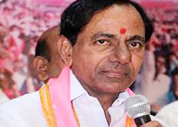 నిజాయితీ లేని గులాబీ కౌంటర్!