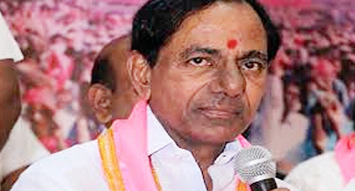 నిజాయితీ లేని గులాబీ కౌంటర్!