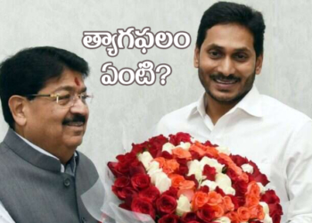 పెట్టుబడులు వస్తేనే ఈ త్యాగానికి ఫలితం!