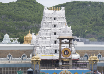 తిరుమలేశుని ఐడియా ఫాలో కావచ్చు!