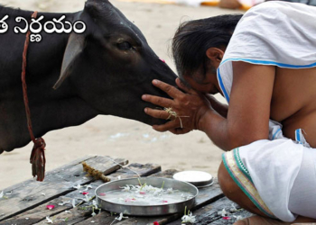 గోవులకోసం.. మంత్రిత్వ శాఖ : సీఎం ప్రకటన