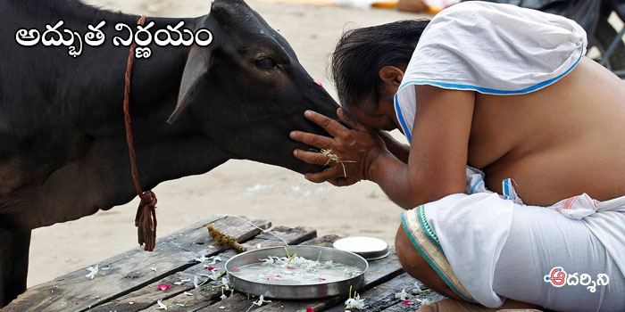 గోవులకోసం.. మంత్రిత్వ శాఖ : సీఎం ప్రకటన