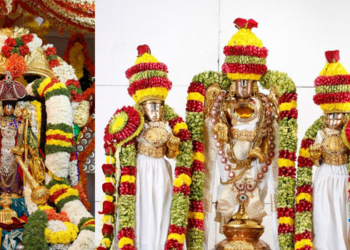 tirumala properties