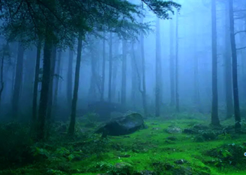 వాహ్వా లంబసింగి! ఇవి మంచుకొండలా?