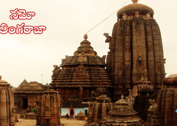 lingaraja temple odisha