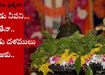 bilva vruksham emerged from lakshmi devi breast