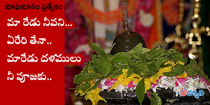 bilva vruksham emerged from lakshmi devi breast