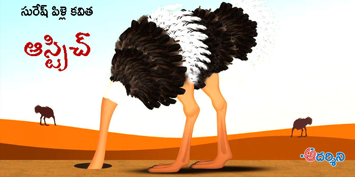 ostrich poem :: కవిత : ఆస్ట్రిచ్