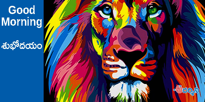 Good Morning : గుర్తింపు, సత్కారం ఎవరికి కావాలి?