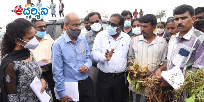 chittoor news జిల్లాలో కేంద్రబృందం రెండవ రోజు పర్యటన