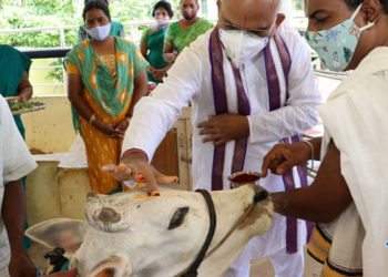 tirumala news గో ఆధారిత రైతులకు అండగా టీటీడీ