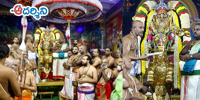 tirupati news అశ్వవాహనంపై క‌ల్కి అలంకారంలో పద్మావతి 