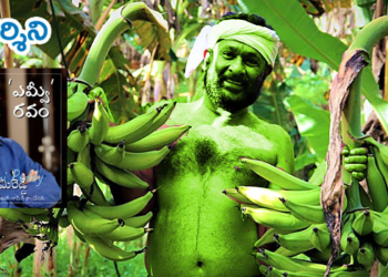 ‘ఎమ్వీ’రవం : అరటితోట ఆక్రందన