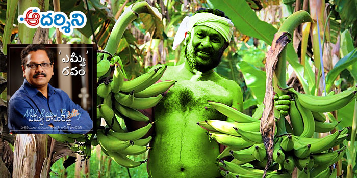 ‘ఎమ్వీ’రవం : అరటితోట ఆక్రందన