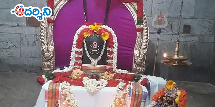 tirupati news కపిలేశ్వరాలయంలో ఏకాంతంగా త్రిశూల‌స్నానం