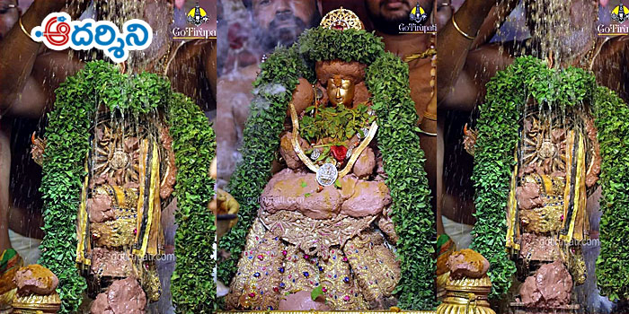 శాస్త్రోక్తంగా పద్మావతి అమ్మవారి పంచమీ తీర్థం