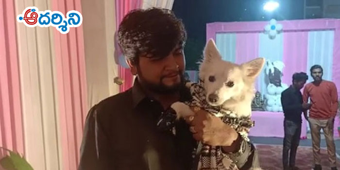 కుక్కగారి బర్త్ డే.. బాసు గారి అరెస్టు!