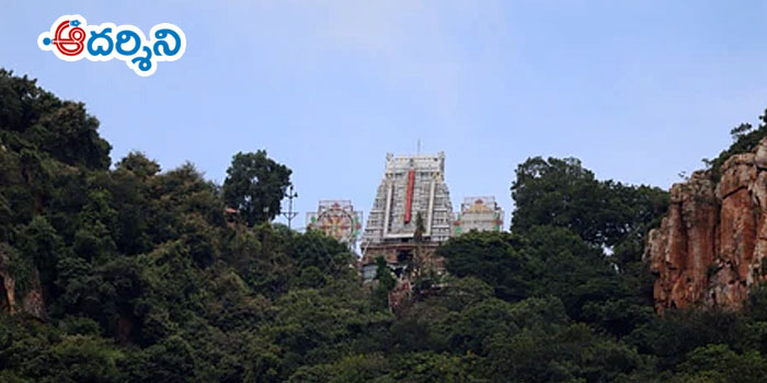 హనుమాన్ జన్మస్థలాన్ని సొంతం చేసుకుంటున్న టీటీడీ
