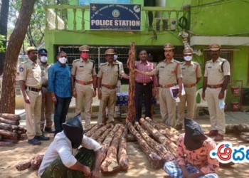 ఎర్రచందనం దుంగలు స్వాధీనం : ఇద్దరి అరెస్ట్