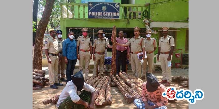 ఎర్రచందనం దుంగలు స్వాధీనం : ఇద్దరి అరెస్ట్