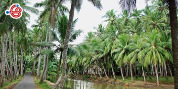 చాప్ర రాతలు: నా మనోసీమ-కోనసీమ